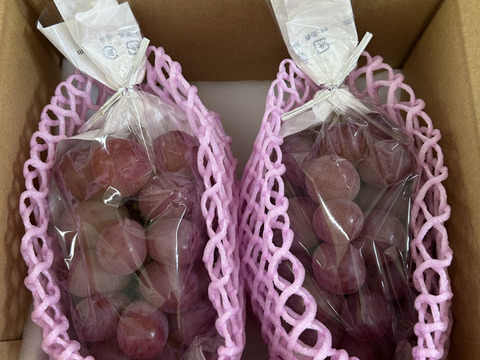 スカーレット(ぶどう) 約1kg(2〜3房)