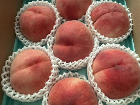 【夏ギフト】あかつき🍑もちっと甘い！朝採れ発送します