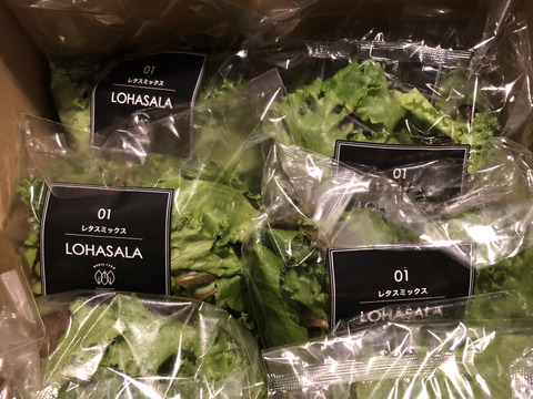 【ちょうど良い１週間食べきりセット】LED施設栽培野菜 LOHASALA　レタスミックス(7個セット×小分け100g)