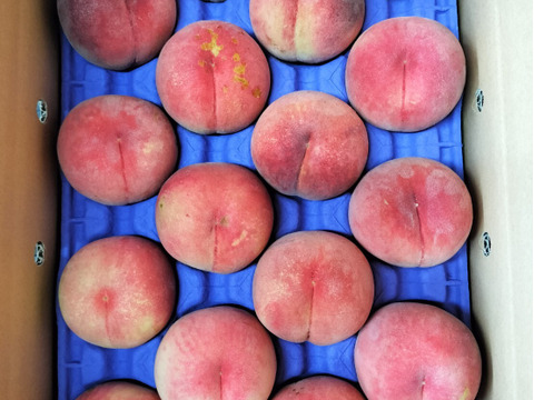 ☆「桃の王様」川中島白桃 5kg【自家用おすすめ‼訳アリ品】