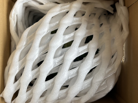 シャリっと食感　大玉スイカ(8kg〜9kg)