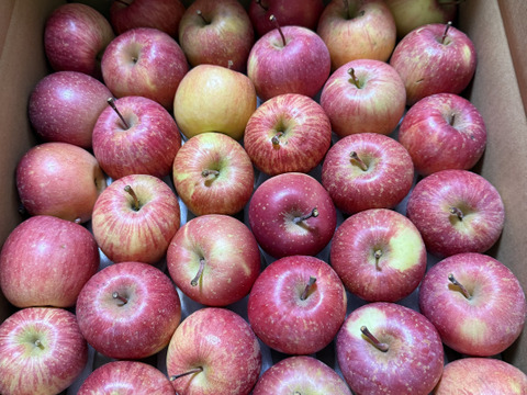 赤りんご🍎品種おまかせ小玉サイズ4kg 低農薬で安心！【小玉りんご】訳ありご家庭用
