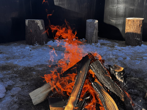 《ホクホクMAX！！！》愛され食され40年『雪夏稚くん』のコナヒメver. 20kg