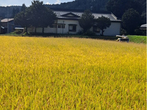 令和7年青森県階上産米粉あおもりっこ1kg×3