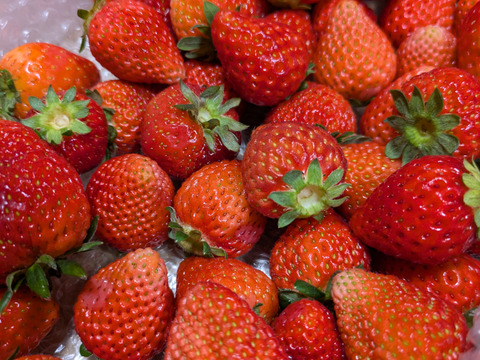 【大特価!!春SALE】
ばら詰めいちごBOX！