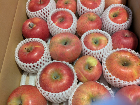 傷があるだけで味は同じ！！溢れんばかりの果汁！！当農園人気No.1 サンふじ【訳あり】５㎏　F-w5