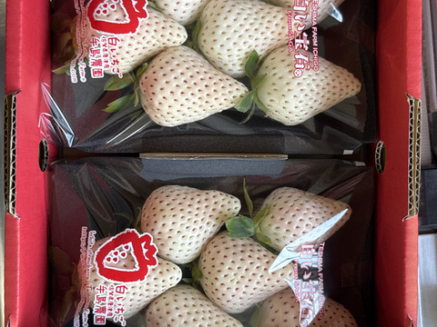 白い宝石®︎ 平パック1パック約215g×2パック