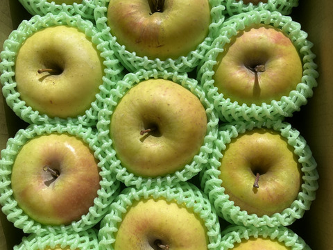 甘～いりんご✨ぐんま名月 約3kg 信州りんご