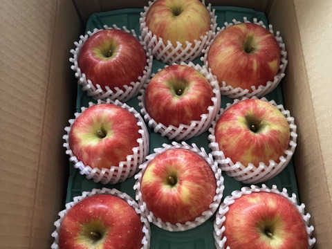 食べ応え抜群 シナノドルチェ 3キロ箱6玉〜15玉サイズ 商品ID41173 長野県 信州 安曇野 リンゴ 幻 幻のリンゴ 予約 希少 旬