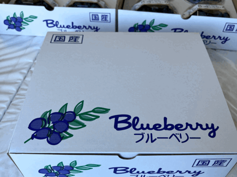 ◉群馬県産◉品種別◉フレッシュ ブルーベリー◉100g×4パック◉農薬不使用