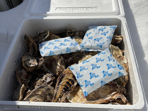 新物　バラ牡蠣　 生食可　7kg （45～60個くらい）