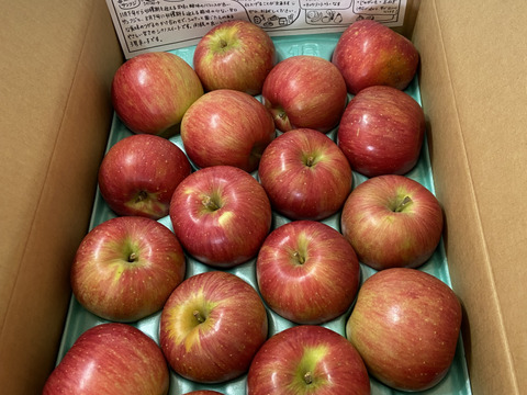 甘くて美味い！シナノスイート　長野県産　ご家庭用　約5kg(10個〜20個)