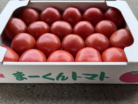 美味さの秘訣は【土耕栽培】にあり！　まーくんトマト　秀優品　八百結び農法　大玉トマト