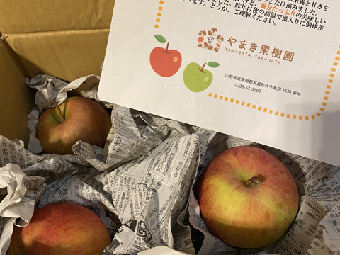 新しい 今季最終です！😋小玉りんご、色薄いりんご🍎でも甘いです。ふじ 果物