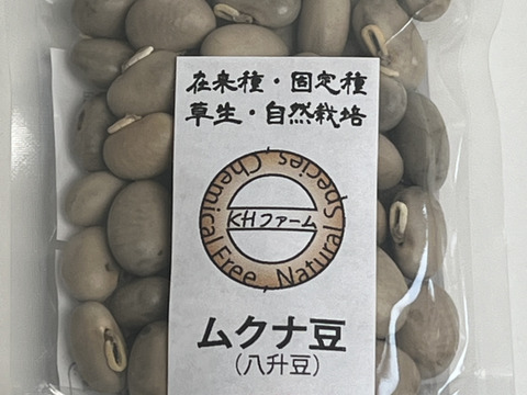 ムクナ豆 3kg 無肥料/農薬不使用/自然栽培 2024年12月収穫 三重県産 ムクナ豆 500g 無肥料/農薬不使用/自然栽培 2024年12月収穫 三重県産
