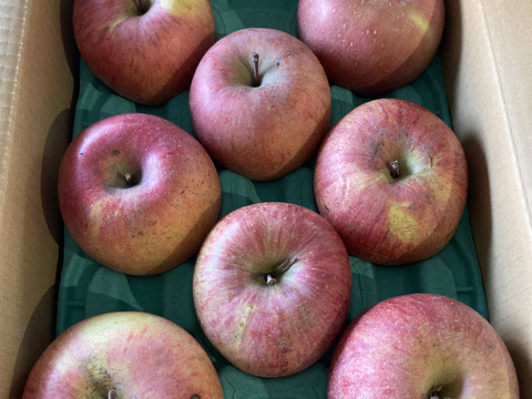 「完熟サンふじ」鮮度保持貯蔵　スマートフレッシュ済分　訳あり　ご家庭専用　3キロコース　（8～12個入り）