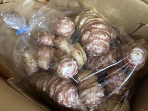 トピナンブール / topinambour 1kg