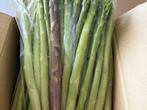 朝どれ】アスパラガス B品 サイズ混合 1kg 【収穫当日発送】：新潟県