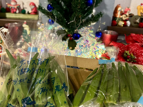 【にこにこメール便・品評会銀賞入賞！の自信作】リースなどにも・ユーカリお手軽価格🐨スーっとした甘い香りがご好評・花の産地山形県さがえ産・【ユーカリ・グニー】30cm~40cm　10本　花のある生活🌿