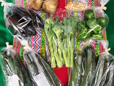夏野菜9袋★フードレスキュー　農園自慢の野菜セット4種〜★パチャママ農園