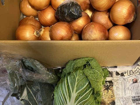 大好評，地層が違う淡路島、大玉ターザン(風袋込み１０キロ)