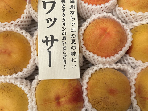 ワッサー 大家族様向き 信州ならではの桃 訳あり ご家庭専用コース 4.5