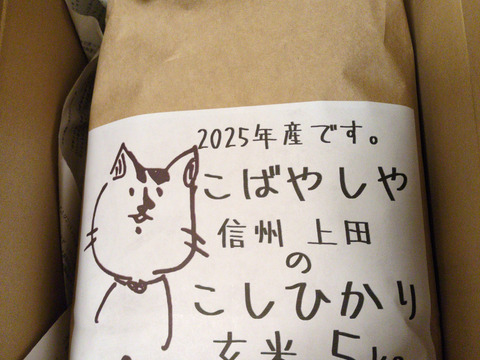 第３次予約‼️　もっちもちの25年度産新米!!　信州上田産コシヒカリ玄米5kg おむすび お弁当に　令和7年 農家直送