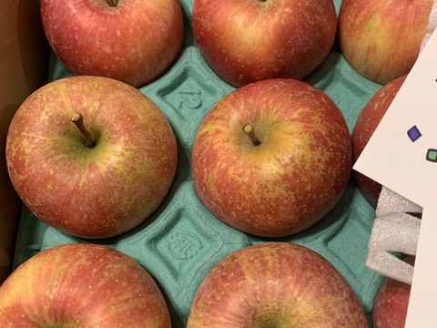 2026年度産予約開始🍎青森県産完熟葉取らずふじ家庭用キズあり約3kg‼️
