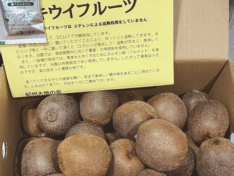 【数量限定・通常品の3割引き！】　　　　　　　ジューシーな果肉！安心安全の“有機JAS認証栽培”和歌山県古果園キウイフルーツ 《規格外品》 【たっぷり 3kg】