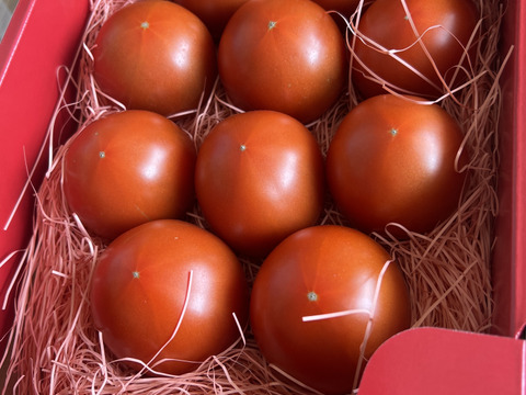 ～春夏秋冬～秋もトマトを楽しみましょう！ぜいたくトマト《秋の陣》