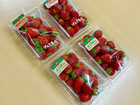 【規格外】お得に味の食べ比べ！いちご3品種4Pセット♪200g×4P