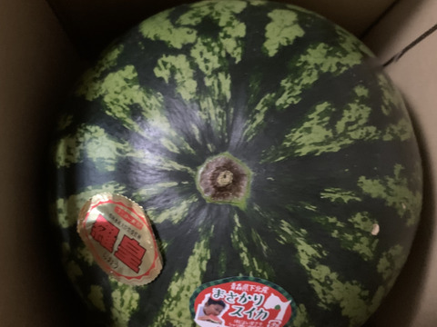 スイカ　大玉　6㌔-7㌔　本州最北端　まさかりすいか