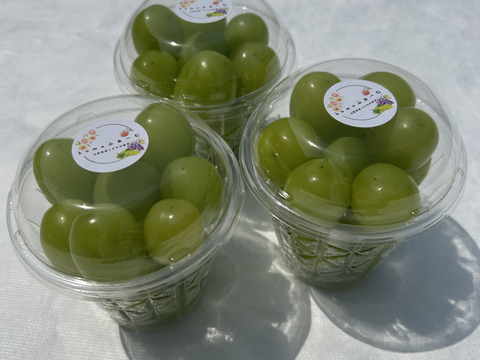【ワケあり】旬を先取り！ハウス栽培シャインマスカット！（ご家庭用・250g×3Ｐ）