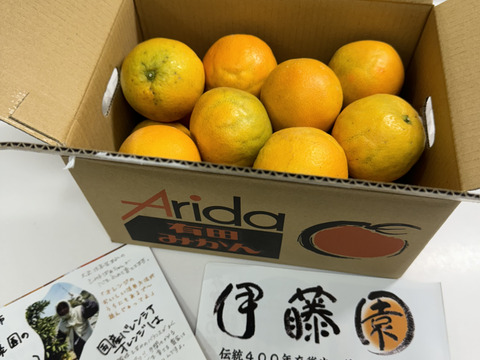 【朝市限定】3kgとみこばぁばのバレンシアオレンジ【希少種】