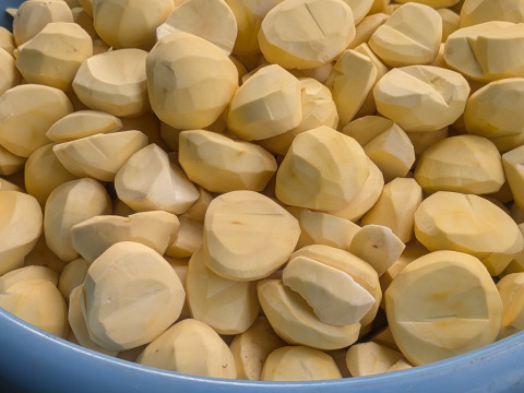 100% 国産和栗のくり甘納豆