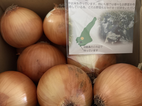 大地の恵み！淡路島完熟玉ねぎ🧅【シャーロットオニオン　輝玉（キラ玉✨）】(3kg)