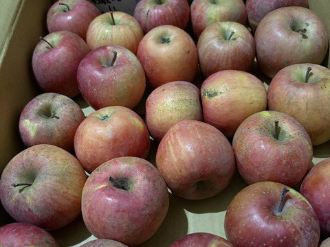 【今年もやります！】ジュース、ジャムなどに！農薬50%減-加工用ふじ5kg