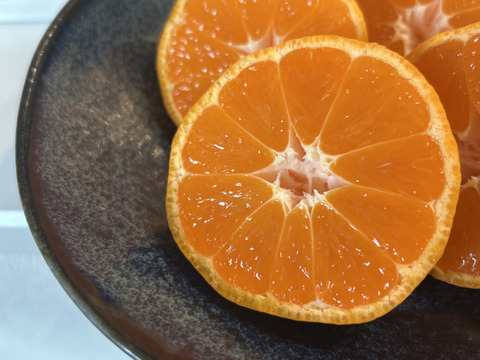 高糖系みかん代表【総合２１】🍊２．５キロ【数量限定！】