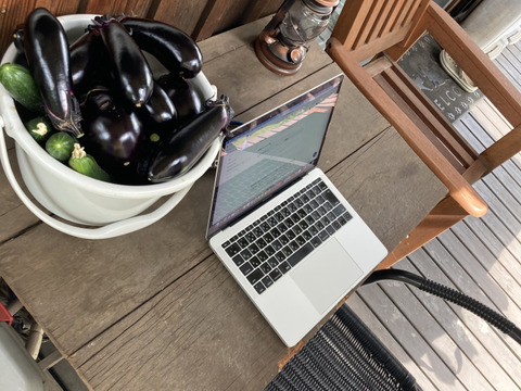 完全数量限定 丸茄子と長茄子(80サイズ) ホントに今朝採ってます　茄子ばっかり!!