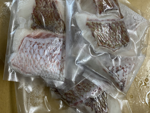 【夏ギフト】鯛人気NO1👑みやび鯛骨なし切り身5P 旨味たっぷりアレンジ無限大【鯛切り身5P】加熱調理に！