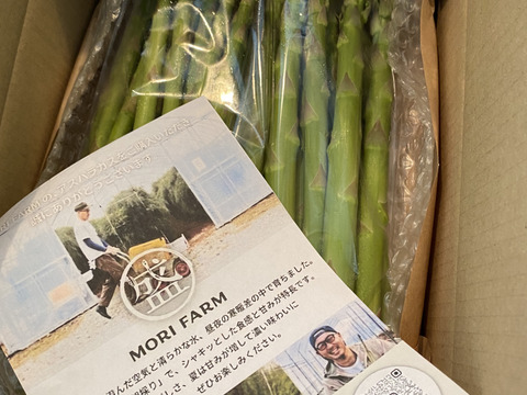 【受賞記念特別価格🎊】【やや太め1kg】那須塩原産アスパラ｜じゅわっと感じる奥深い甘み！｜Lサイズ｜特別価格は5/20まで！