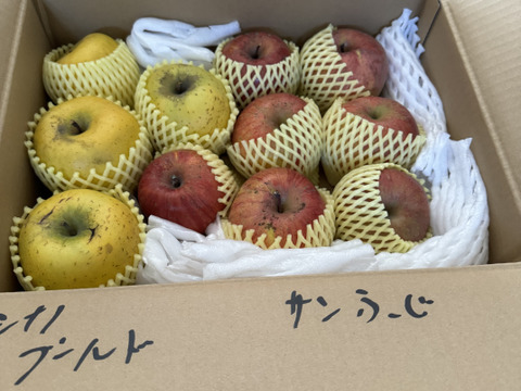 【旬のおまかせ】葉とらずりんご 加工用 約2.5kg(7-16玉) 1~3種類  #NAX0C025