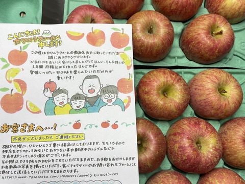 令和7年度産早期予約セール15%OFF大玉から順に発送‼️🍎青森県産葉取らず完熟ふじ約10kg家庭用‼️とことん味にこだわりました😊