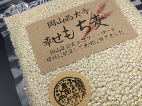 新物！もちっプチっ食感が癖になる！岡山西大寺幸せもち麦（1ｋｇ(
500 g×２袋））