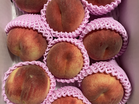 🍑さくら白桃　3kg 8～14玉　9月上旬発送　希少な桃　【ASIAGAP認証農場：津軽農園】　安心・安全な桃　収穫した日に発送　家庭用　農家直送【朝どれ】