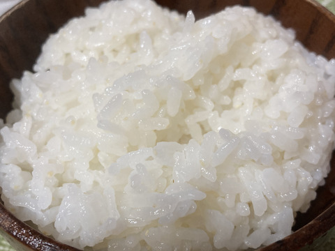 天日干し　ヒノヒカリ　新米10kg