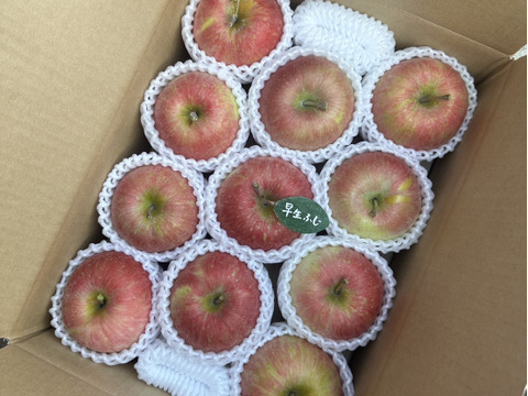 【人気品種】🍎早生ふじ約3キロ🍎8〜12玉《家庭用》ID284719