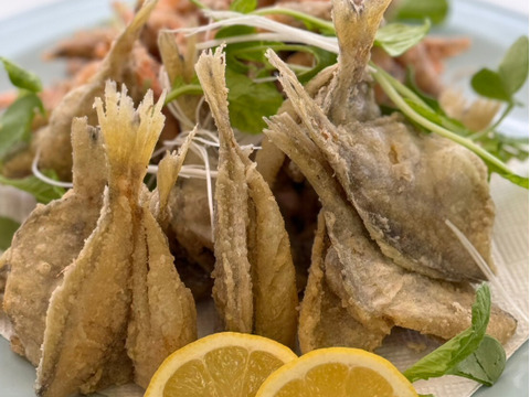 【福袋2025】漁師直送朝どれお魚ボックス３種以上