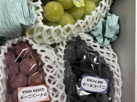 葡萄詰合せ2kg箱