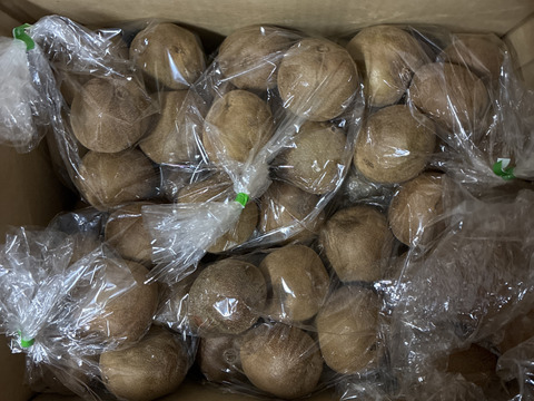 【毎日のフルーツに】福岡県八女産アップルキウイ 約6kg｜５５個以上｜ご家庭に一番おすすめ｜ 食べやすいサイズ中心（約111〜145g）｜農薬・化学肥料不使用